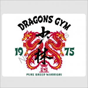 Dragons Gym1